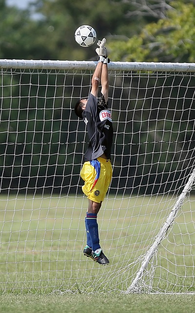 成都蓉城祝贺重庆铜梁龙成功冲超：我们携手展现西南足球风采