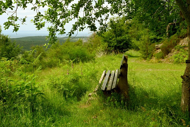 要放弃萨林杰了？广东内线护框成最大隐患，杜锋有望签下第五外援