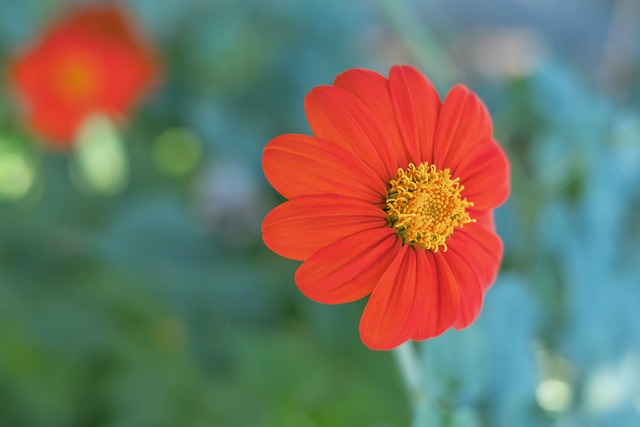 的进攻机会 的进攻机会