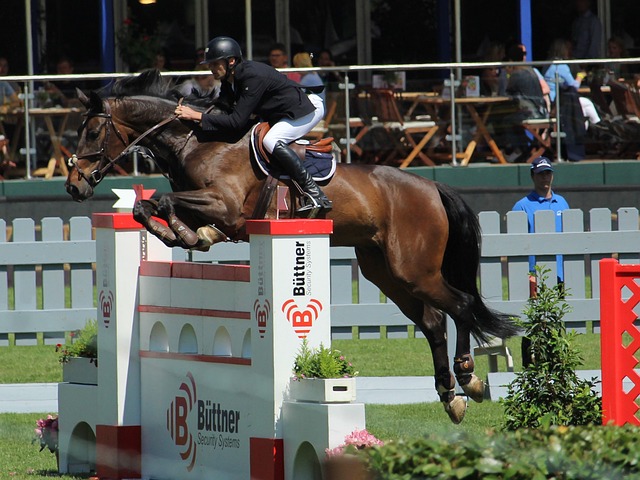 担着承上启 担着承上启