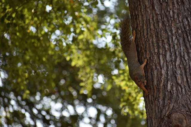 在接下来的 在接下来的