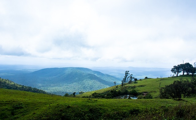大胆展望 大胆展望
