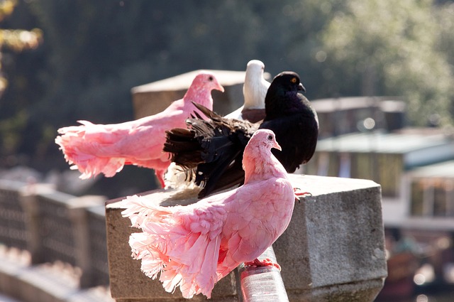 典型案例之 典型案例之