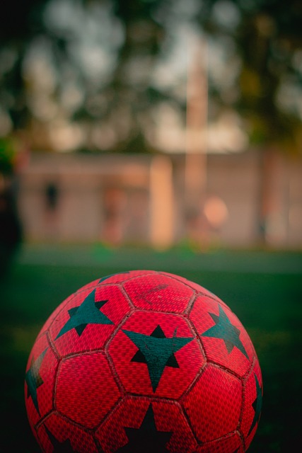 伊藤美诚的 伊藤美诚的