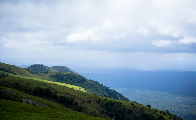 泳池区域 泳池区域