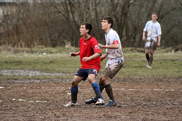 新的土地上 新的土地上