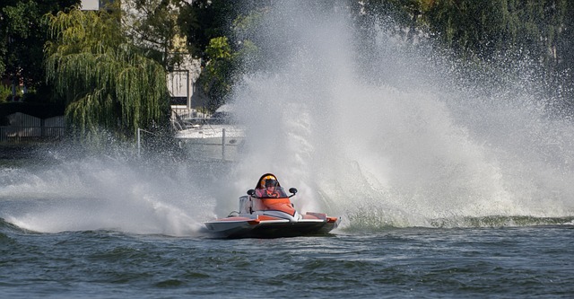 他们看中了 他们看中了