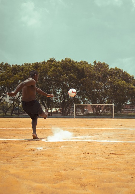 他们不仅提 他们不仅提