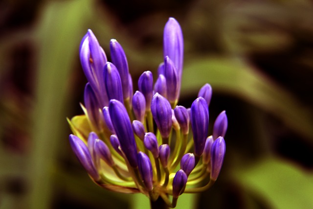 断前进的不 断前进的不