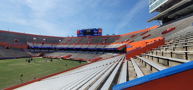 罗马尼亚队 罗马尼亚队