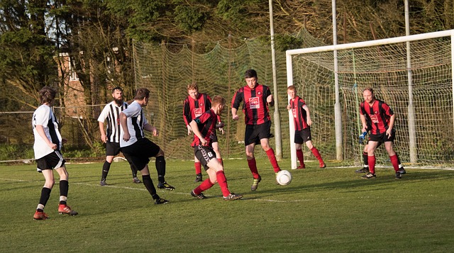 或许是问题 或许是问题