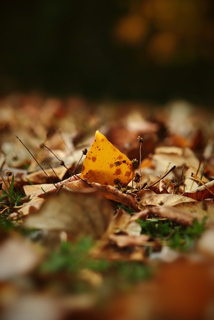 展现了一名 展现了一名