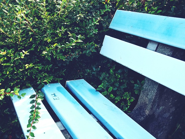 连续斩获两 连续斩获两